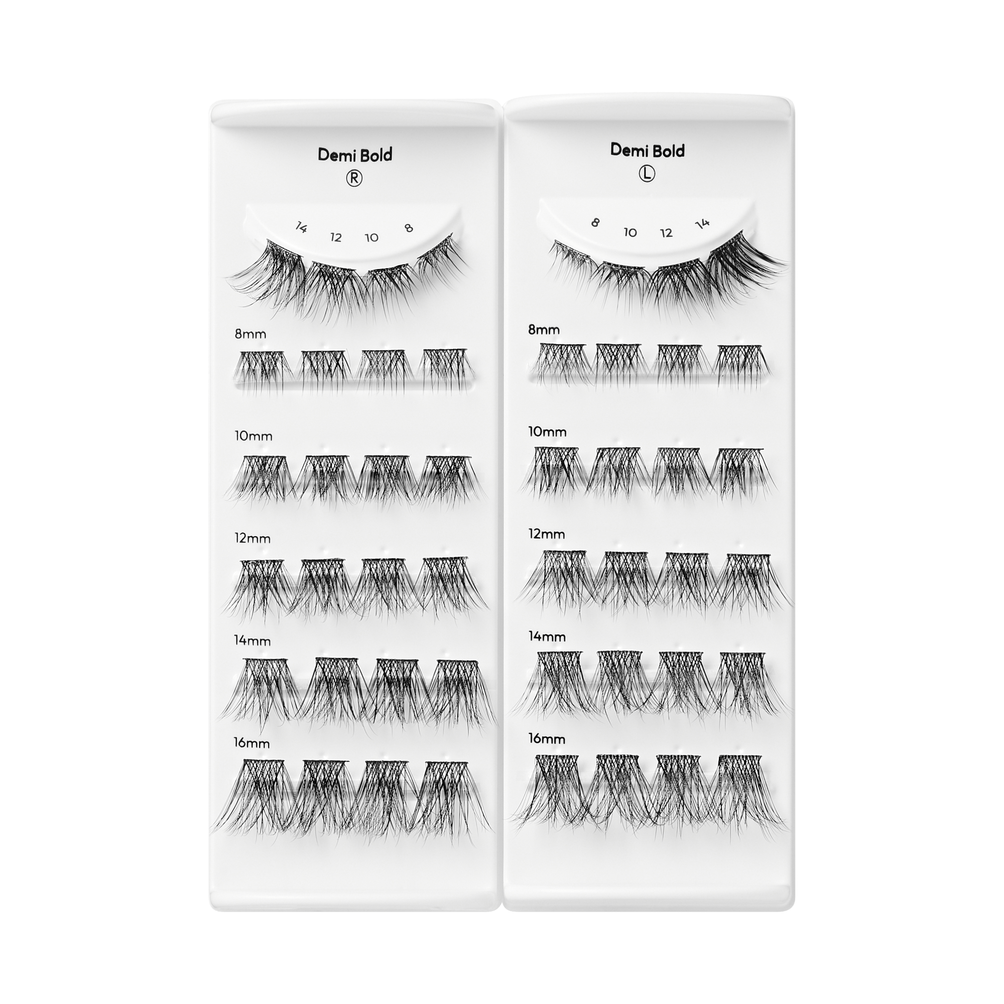 impress-falsies-long-lasting-pre-glued-eyelashes-demi-bold-48-clusters-8mm-16mm- image 6