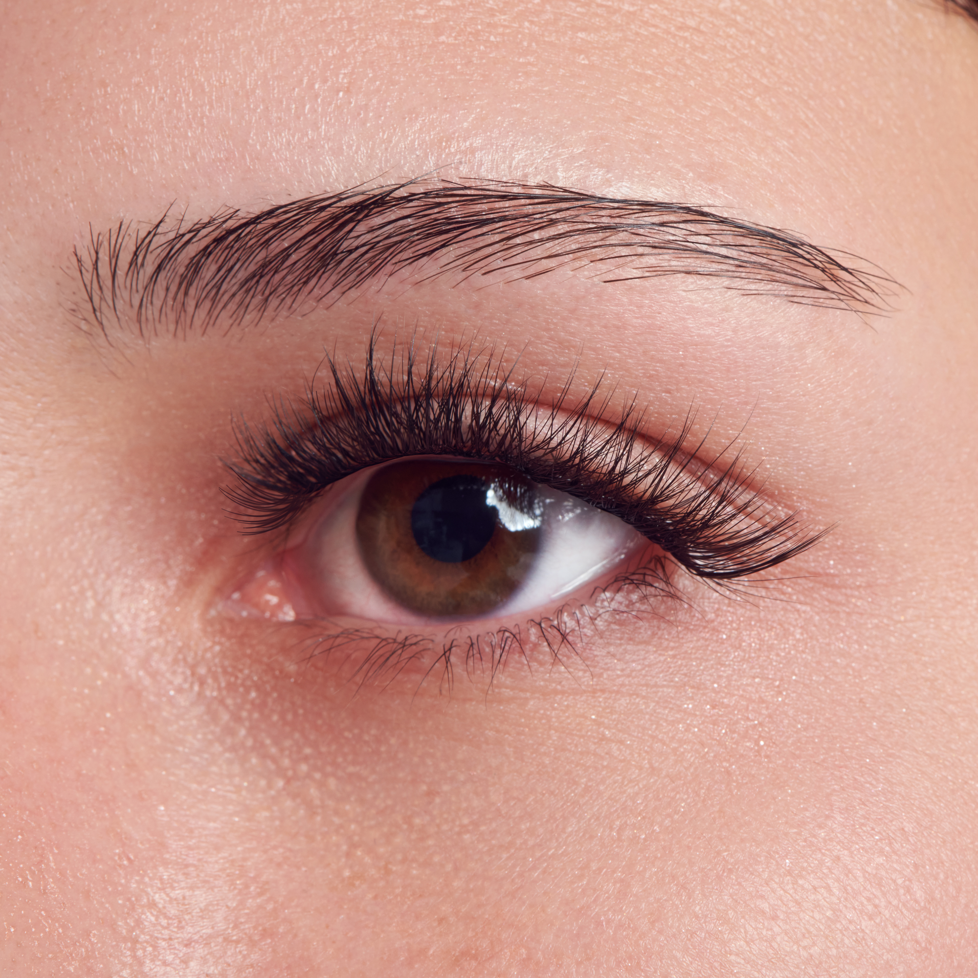 impress-falsies-long-lasting-pre-glued-eyelashes-demi-bold-48-clusters-8mm-16mm- image 2