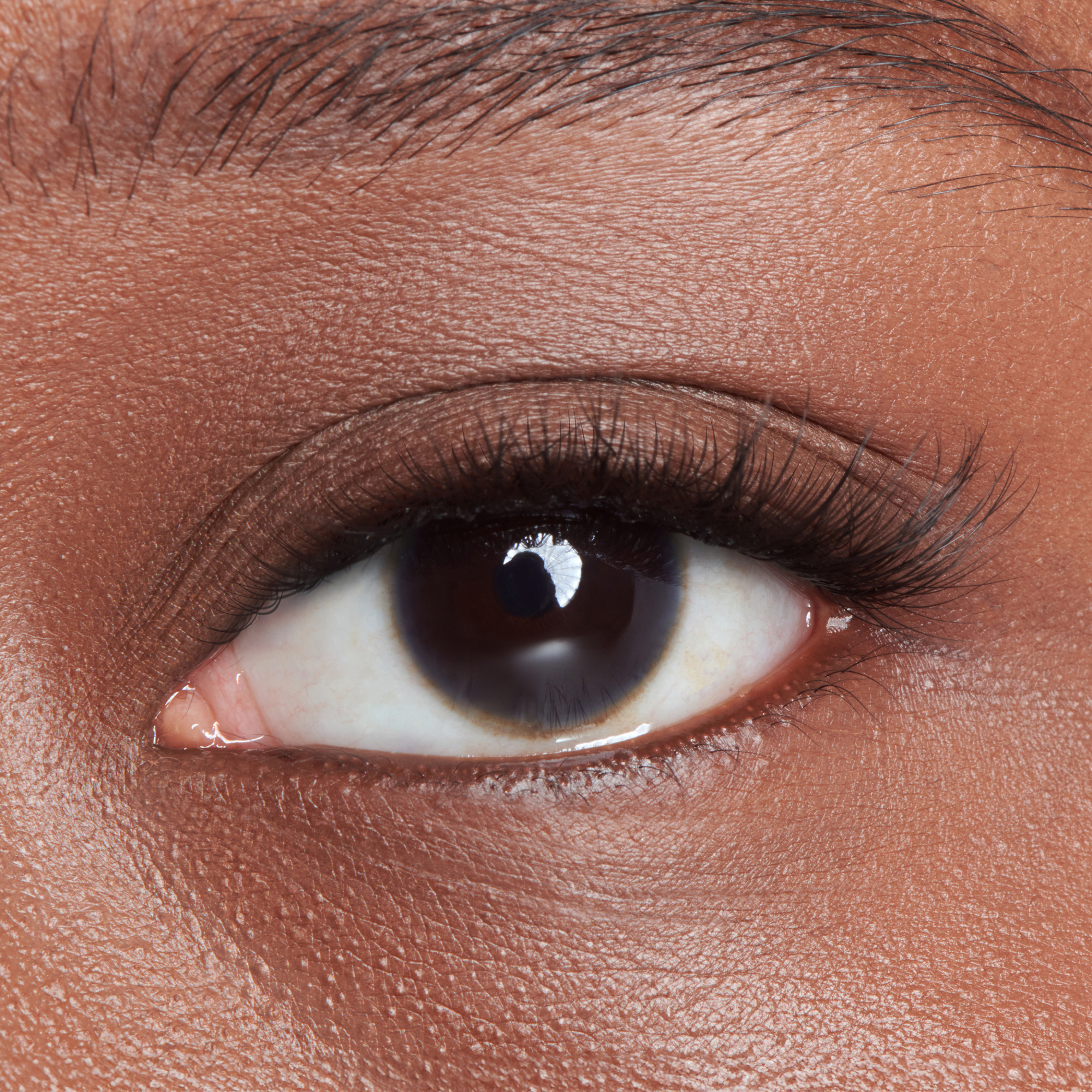 impress-demi-natural-long-lasting-pre-glued-false-eyelashes-starter-kit-24-clust image 4