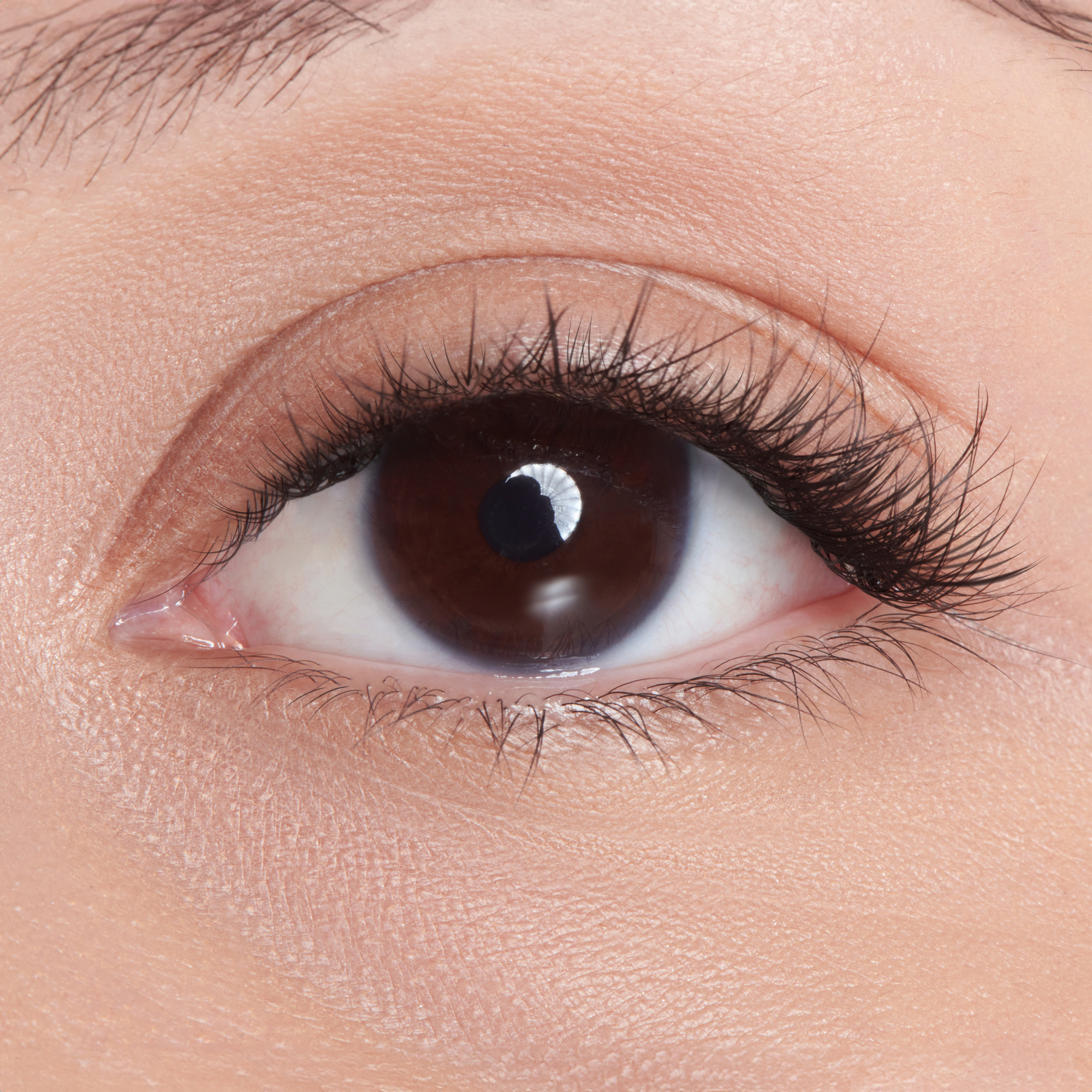 impress-falsies-demi-edgy-pre-glued-false-eyelashes-starter-kit-24-lash-clusters image 3