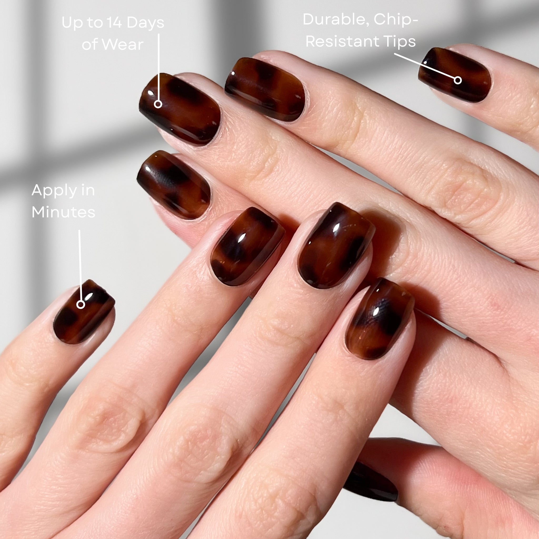paintlab-feline-fine-short-square-press-on-nails-tortoiseshell-pattern-reusable- image 2