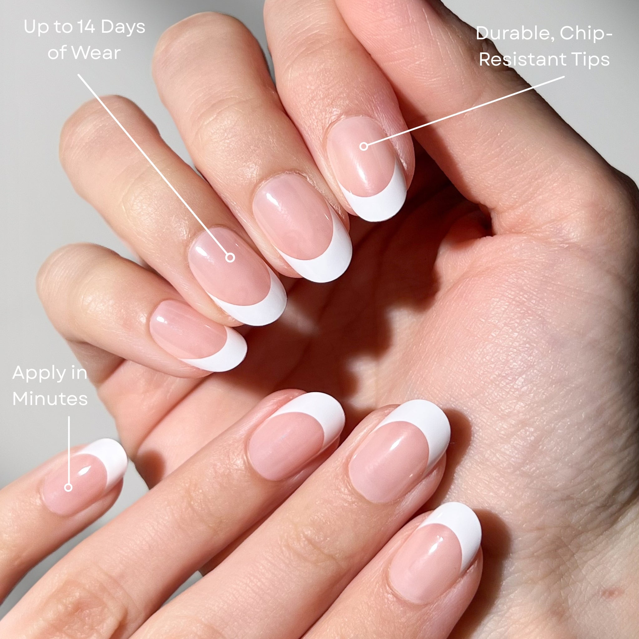paintlab-frenchie-oval-press-on-nails image 2