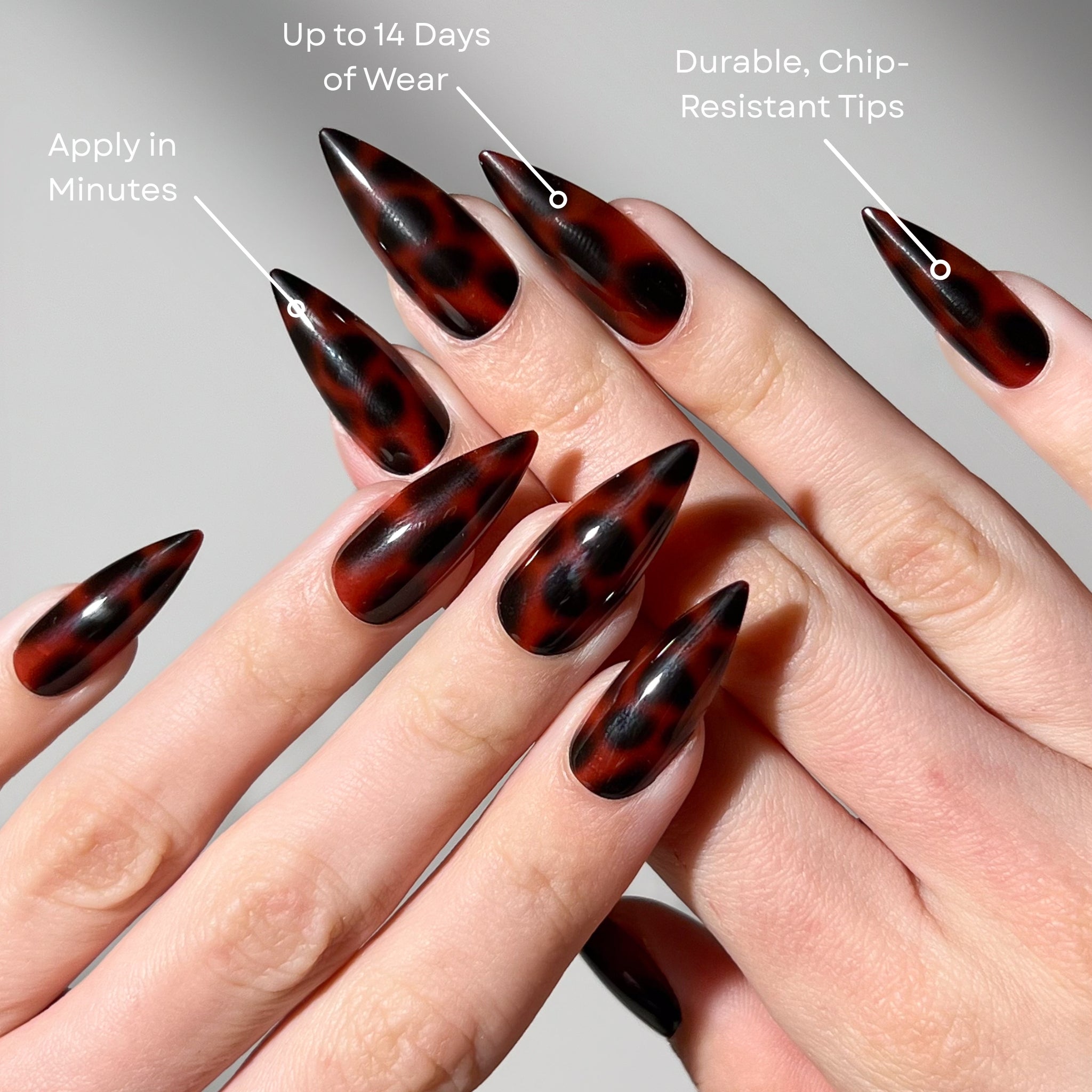 paintlab-espresso-tortie-stiletto-press-on-nails image 2