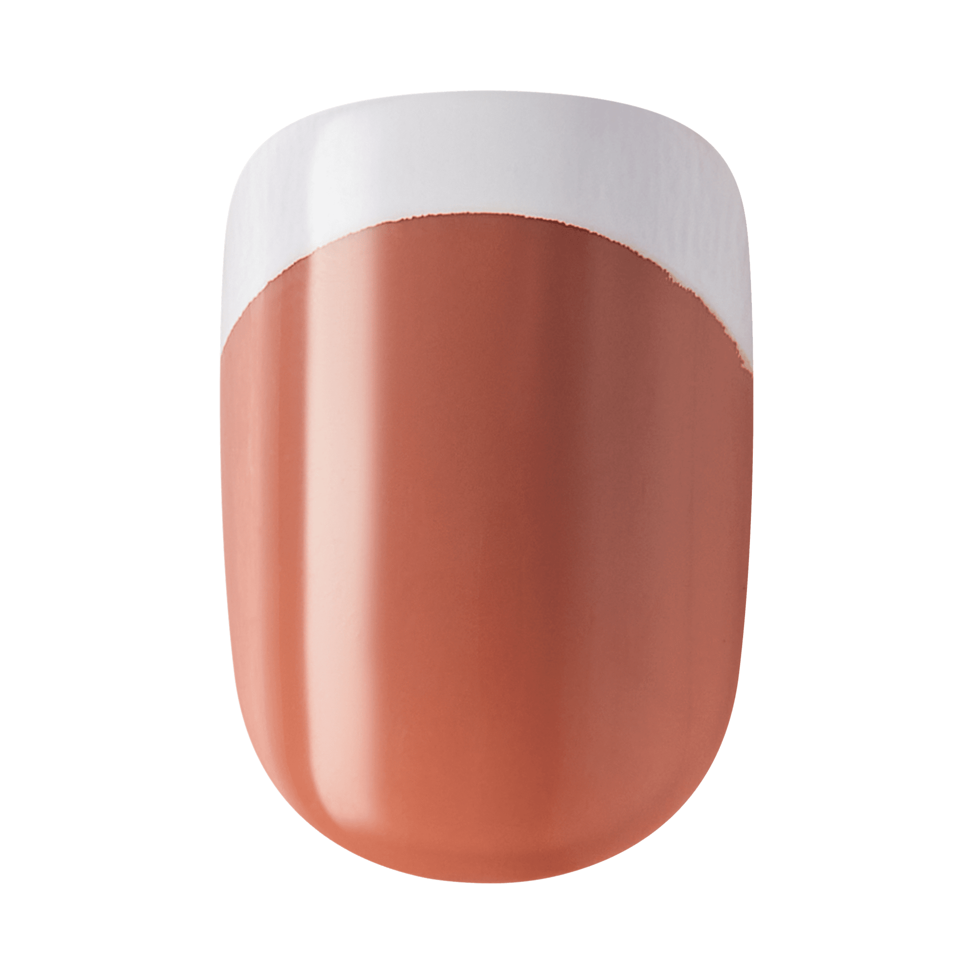 impress-chatoyer-no-glue-press-on-nails-brown-french-design-short-squoval-30-cou image 4