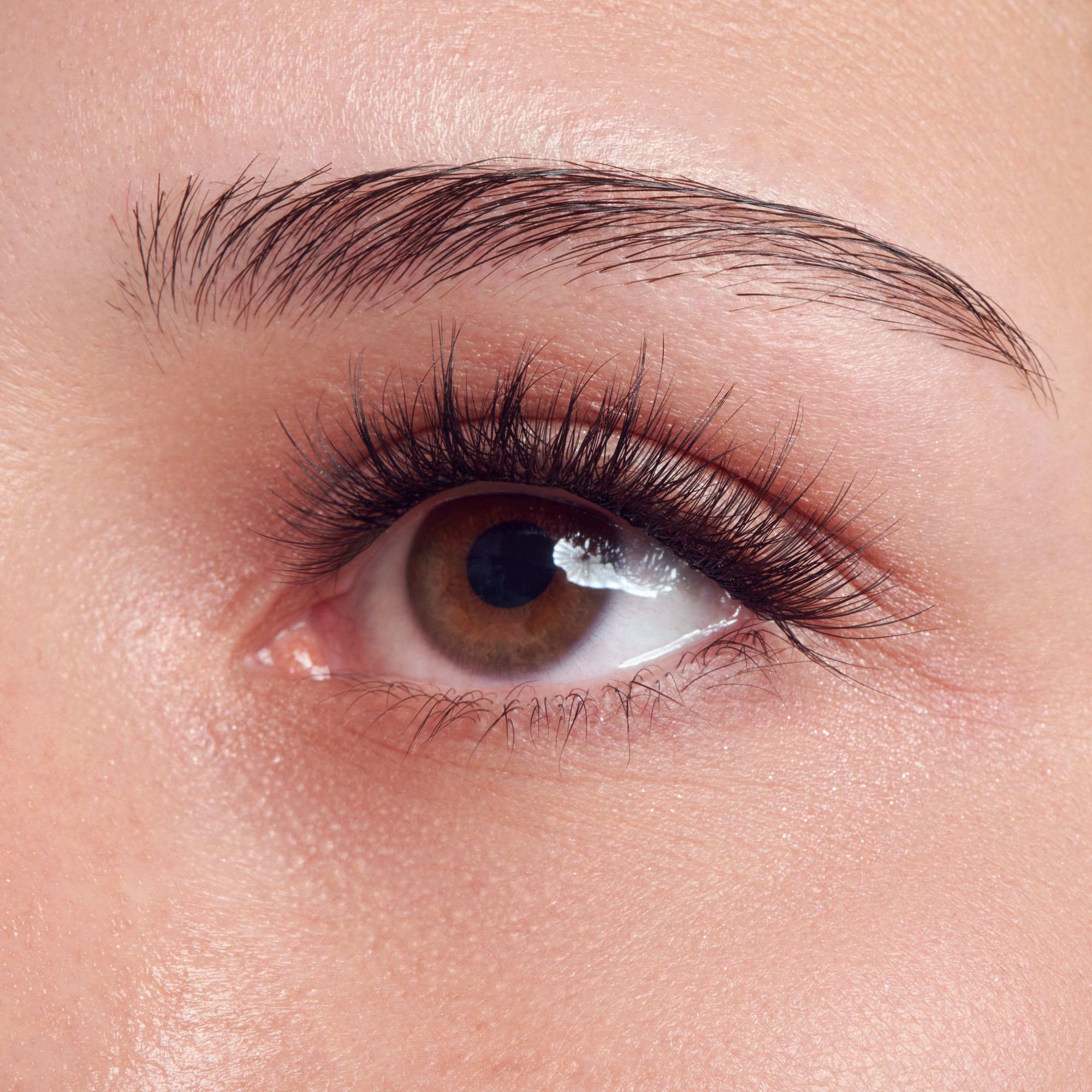 impress-falsies-long-lasting-pre-glued-false-eyelashes-demi-edgy image 2