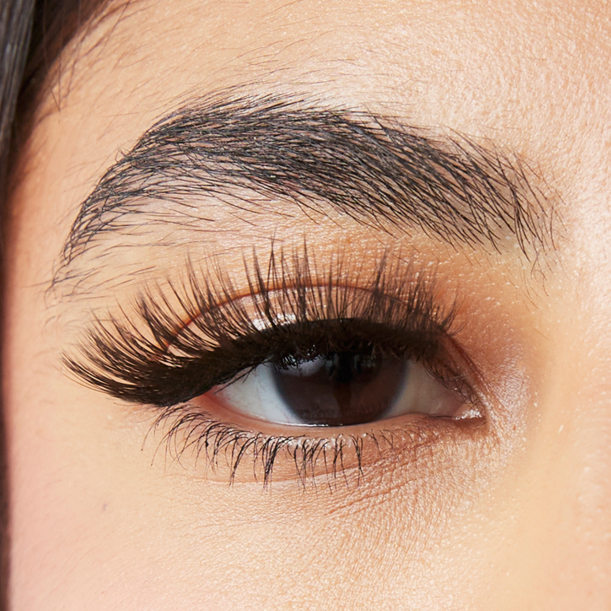 paintlab-bae-magnetic-eyelashes-reusable-glue-free-lashes-for-everyday-glam image 2