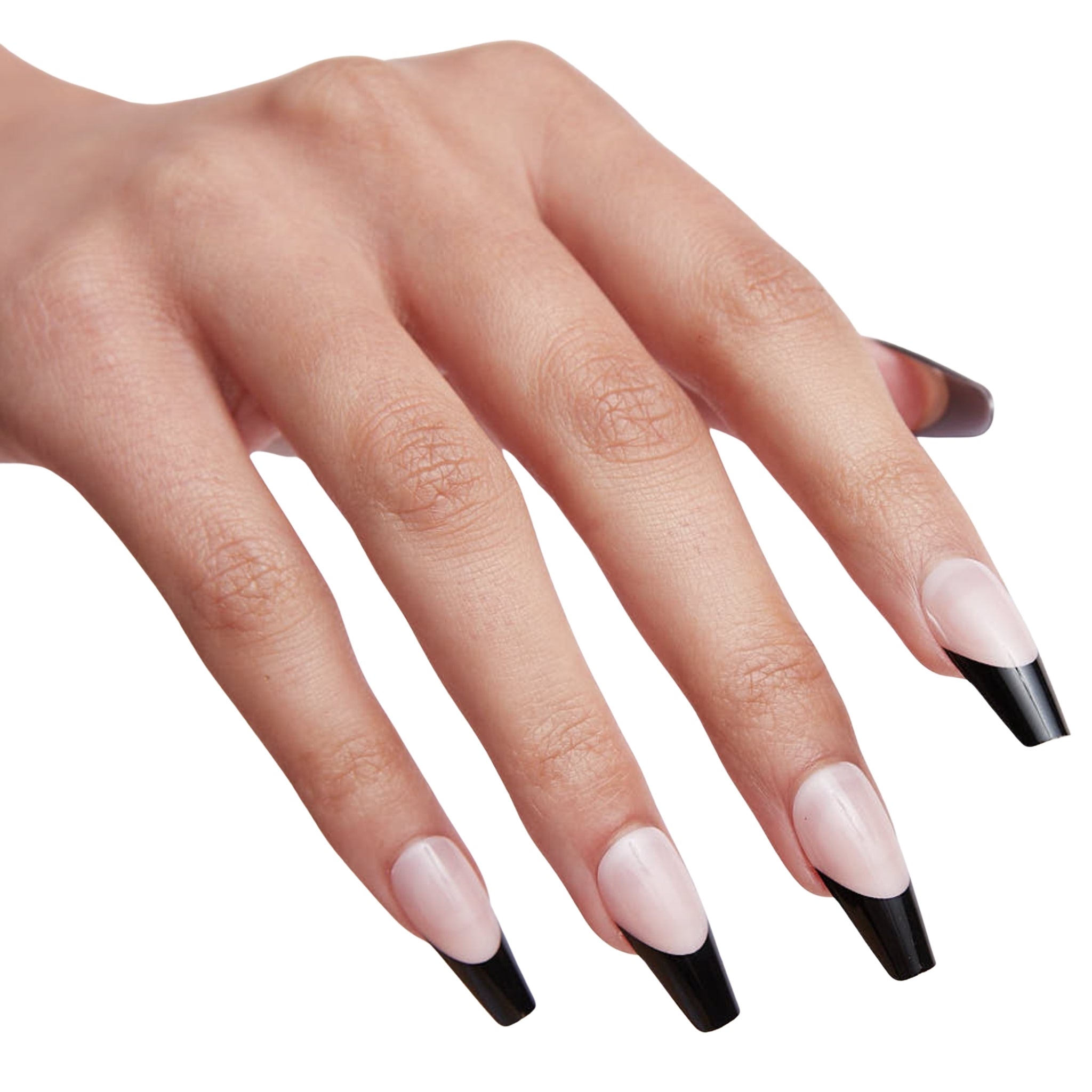 paintlab-black-swan-coffin-press-on-nails-dramatic-coffin-shape-dark-elegance-re image 5