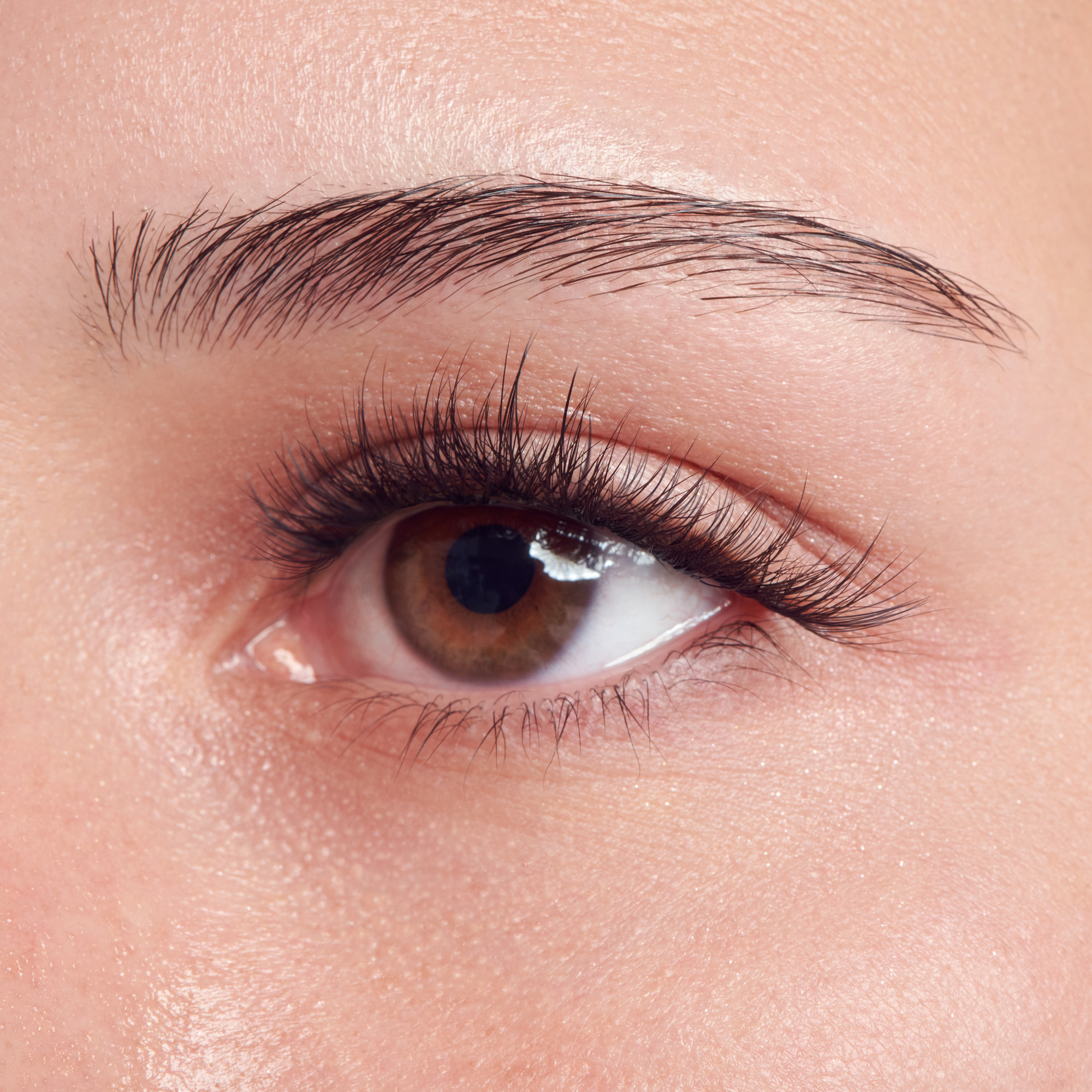 impress-falsies-long-lasting-pre-glued-false-eyelashes-demi-wispy-48-clusters-8- image 2