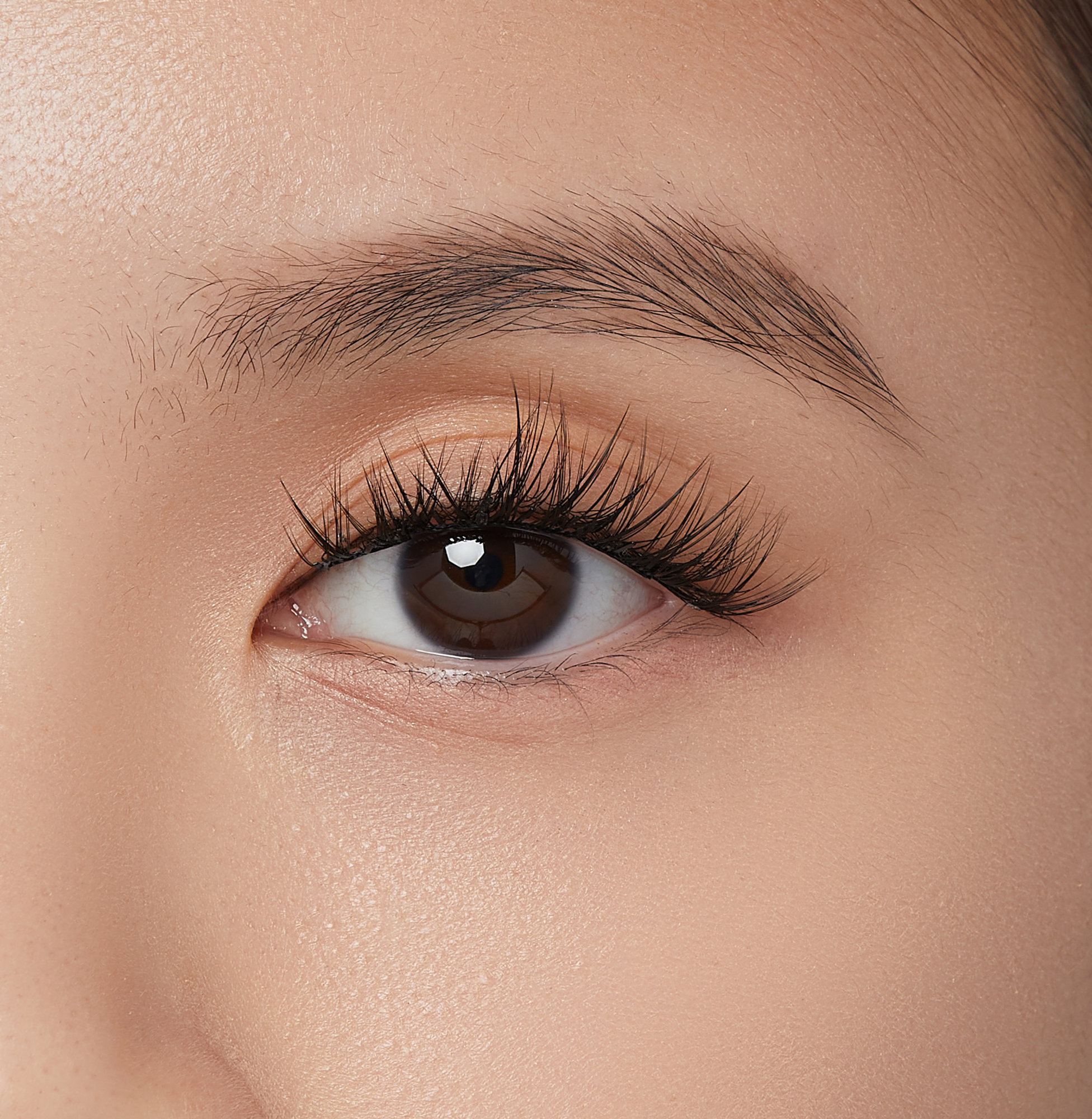 impress-press-on-falsies-bundle-day-to-night-lash-duo-24-clusters-no-glue image 3