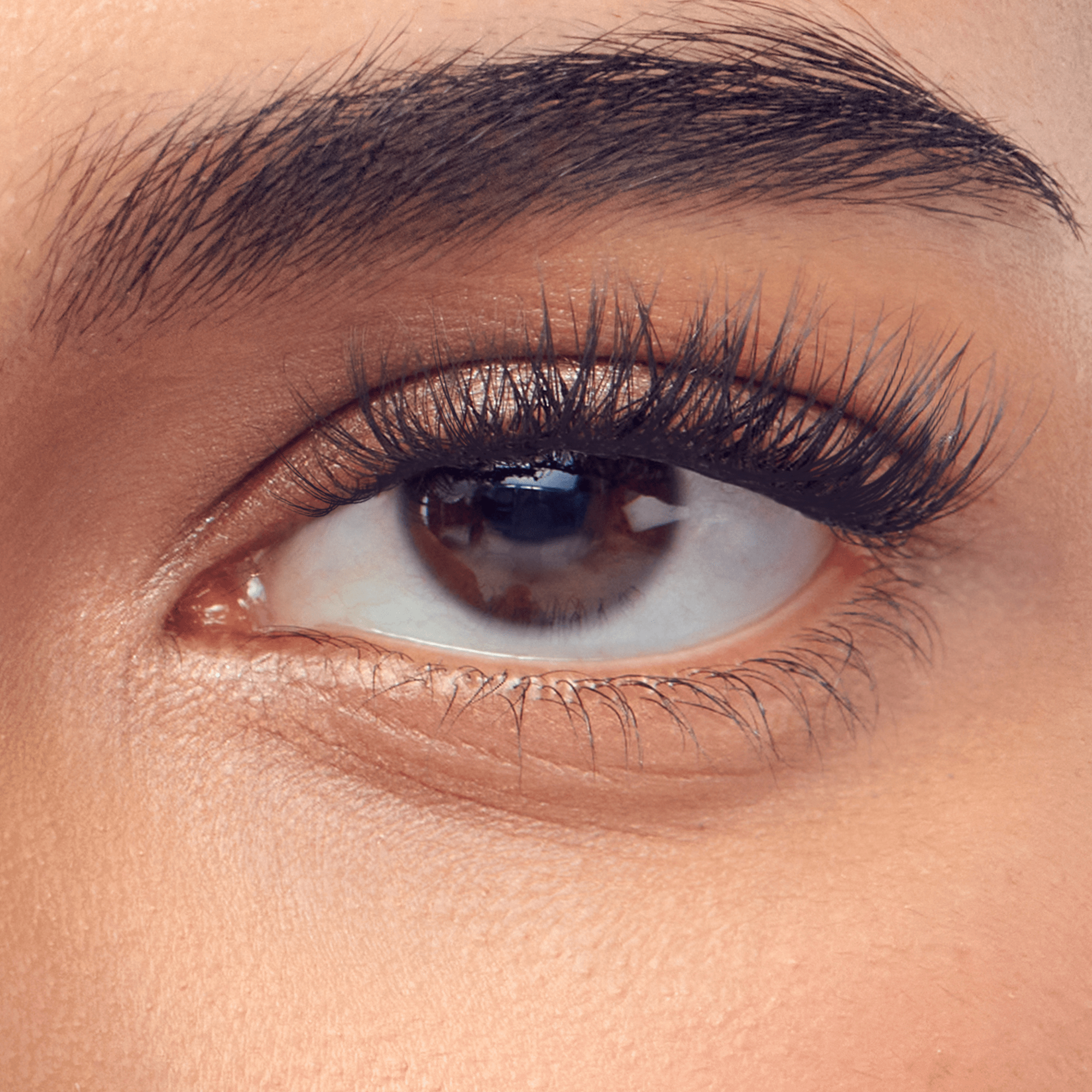 impress-falsies-pre-glued-individual-false-eyelashes-multipack-classic-natural-6 image 4