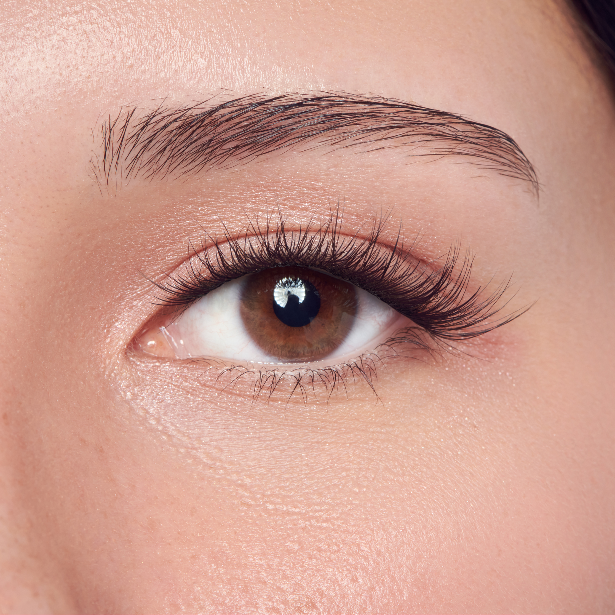 impress-falsies-long-lasting-pre-glued-false-eyelashes-demi-natural-48-lash-clus image 3