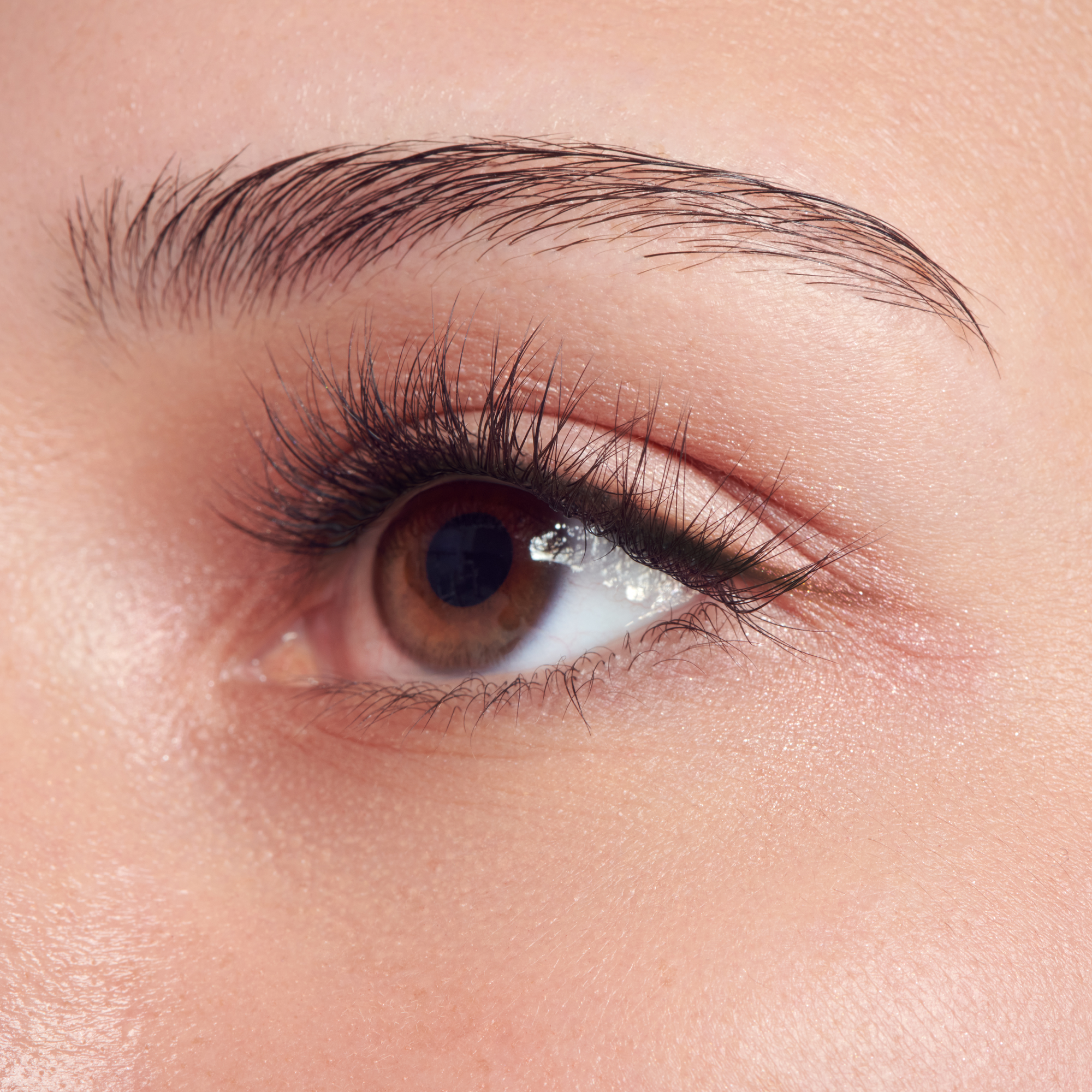impress-falsies-long-lasting-pre-glued-false-eyelashes-demi-natural-48-lash-clus image 2