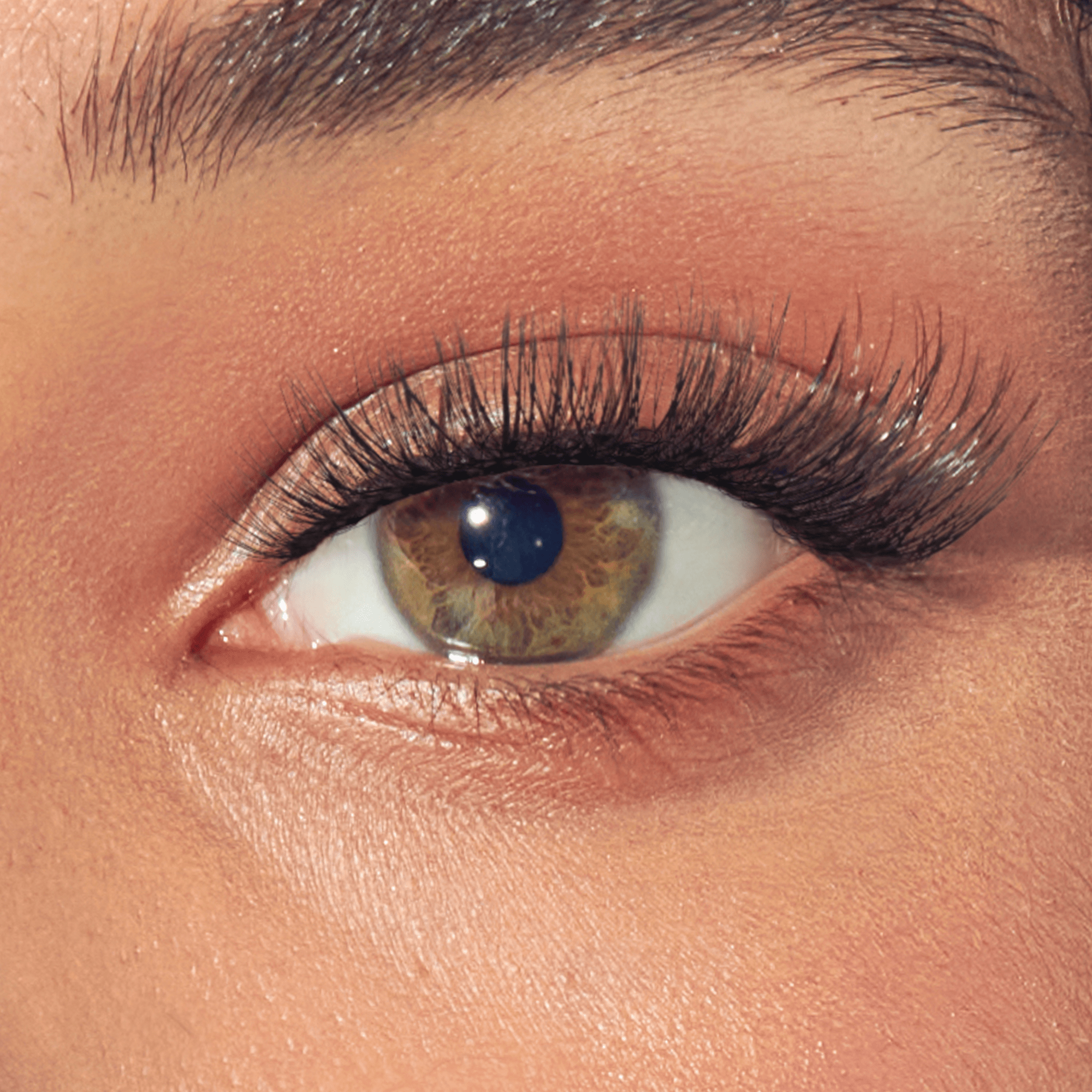impress-falsies-pre-glued-strip-eyelashes-starter-kit-classic-wispy-16mm-2-pairs image 4
