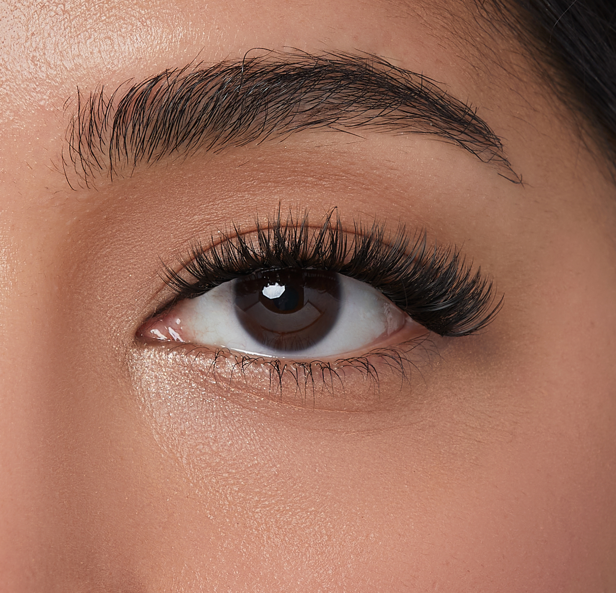 impress-press-on-falsies-bundle-day-to-night-lash-duo-24-clusters-no-glue image 4