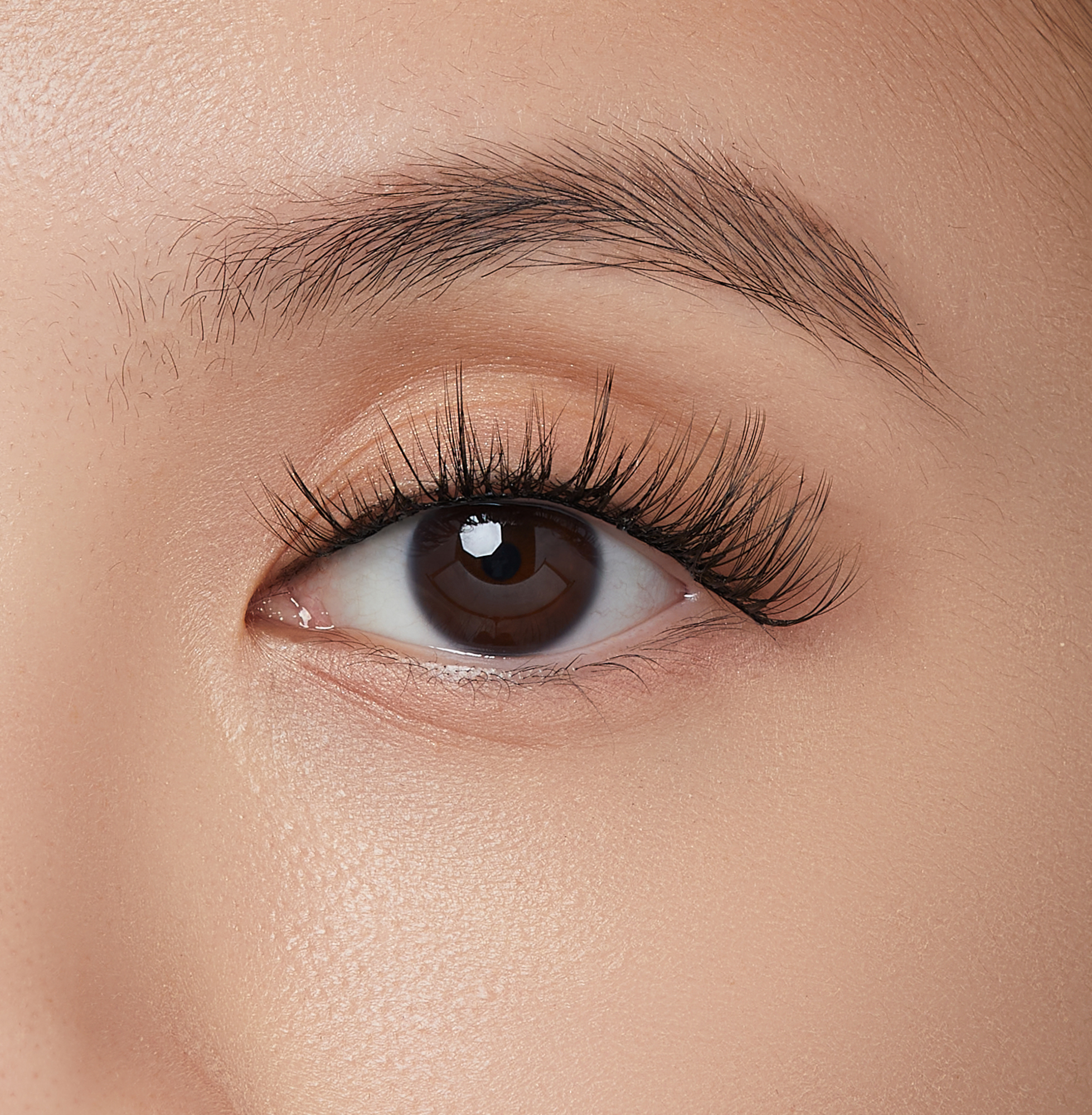 impress-falsies-modern-pre-glued-false-eyelashes-minipack-12-cluster-lashes-12-1 image 2