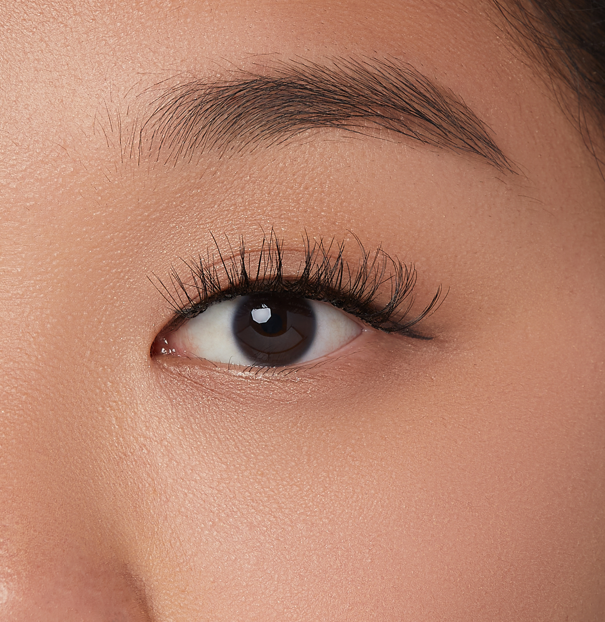 impress-press-on-falsies-bundle-wispy-to-wow-lash-duo-24-clusters-no-glue image 3