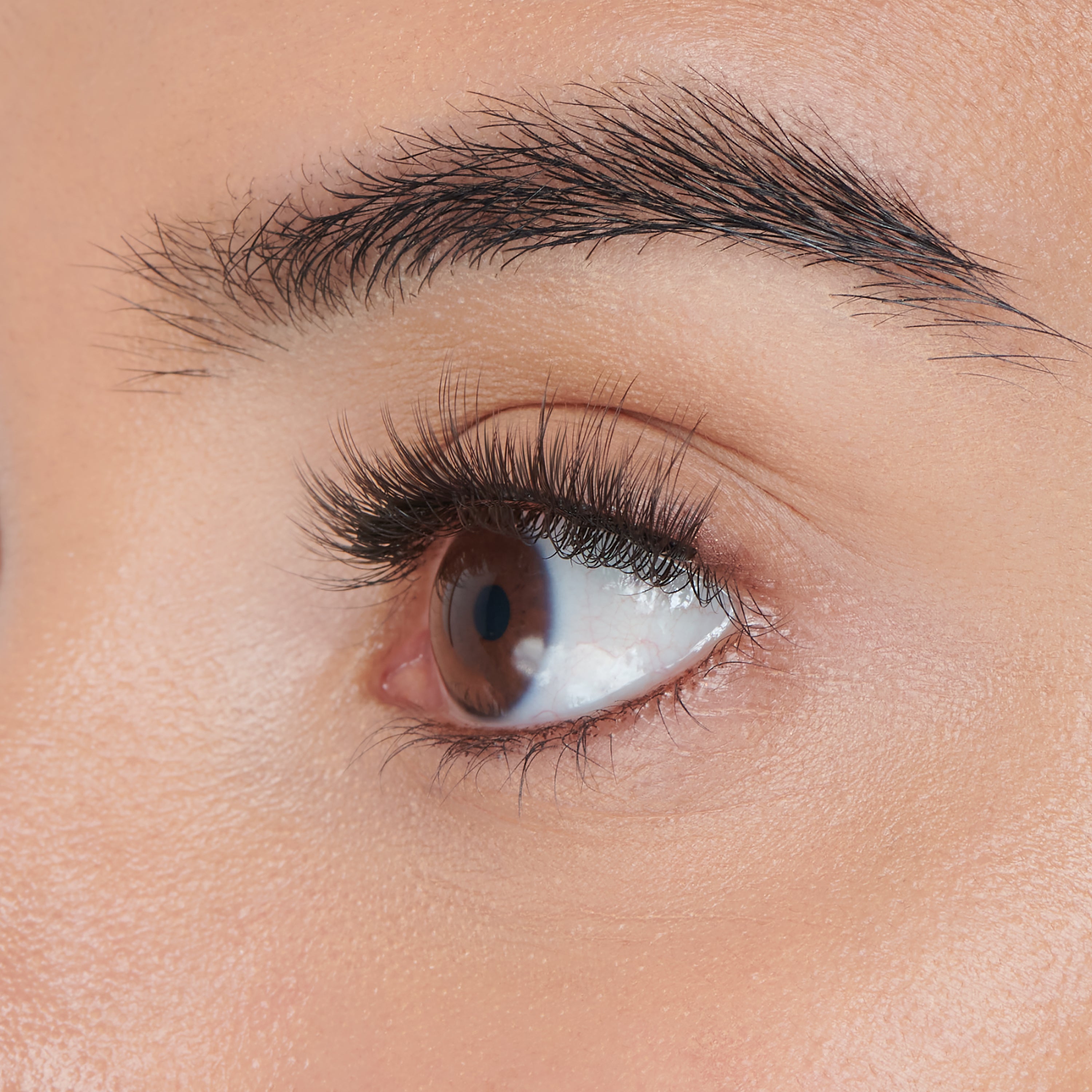 impress-soft-natural-pre-glued-false-eyelashes-starter-kit-42-lash-clusters-with image 3