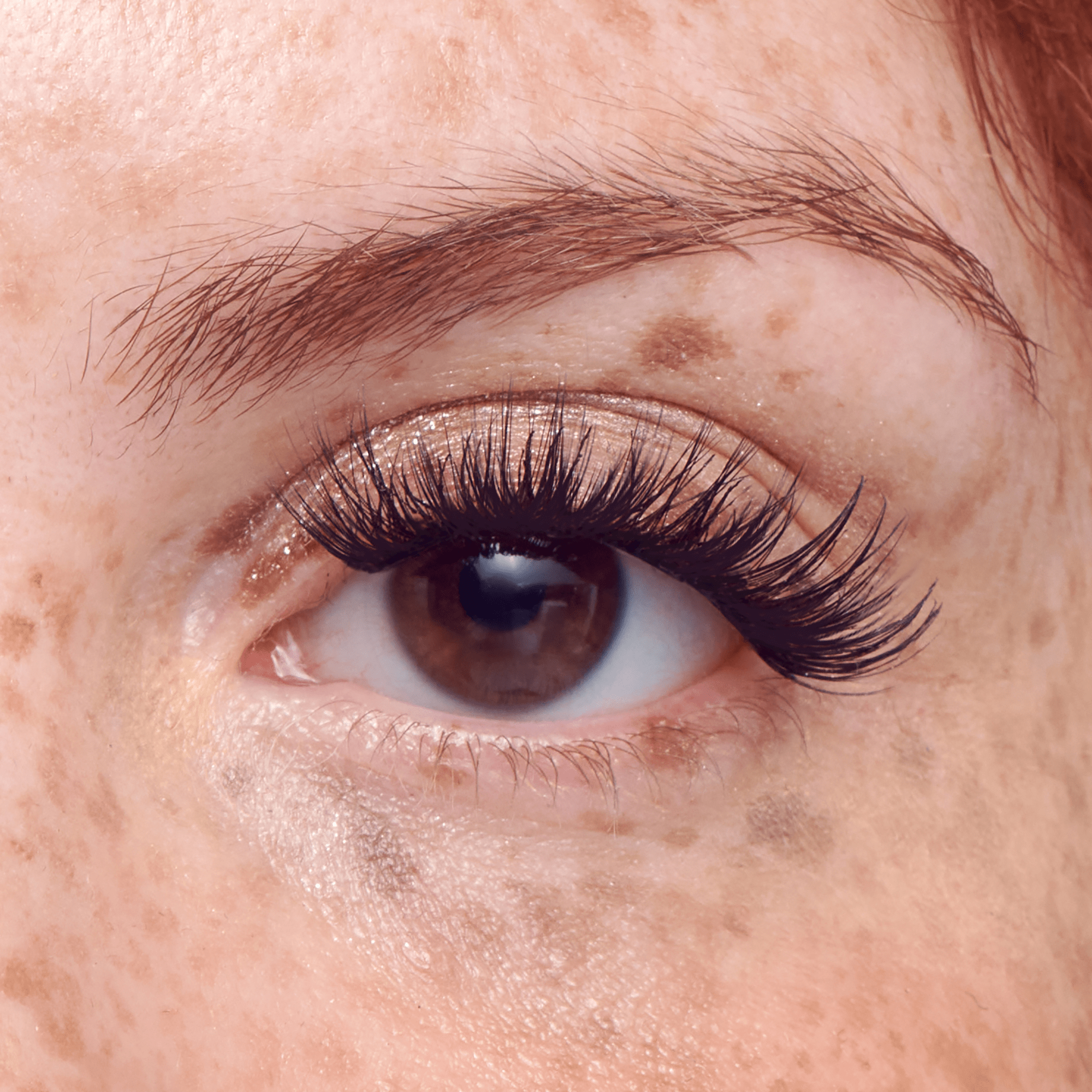 impress-falsies-pre-glued-false-eyelashes-multipack-classic-wispy-50-lash-cluste image 3