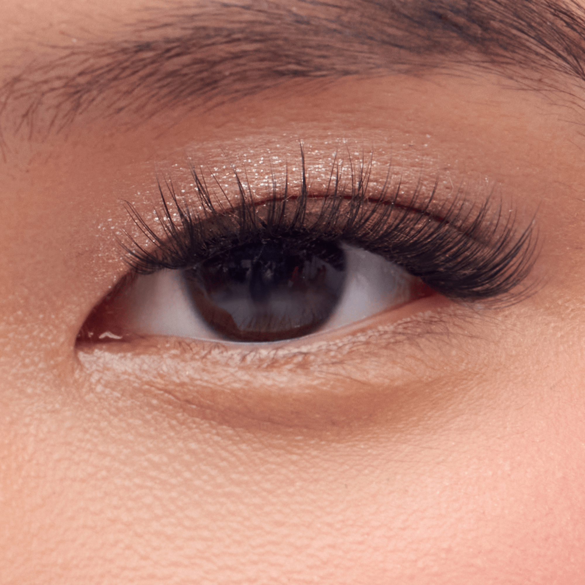 impress-classic-natural-pre-glued-false-eyelashes-multipack-50-lash-clusters-8mm image 4