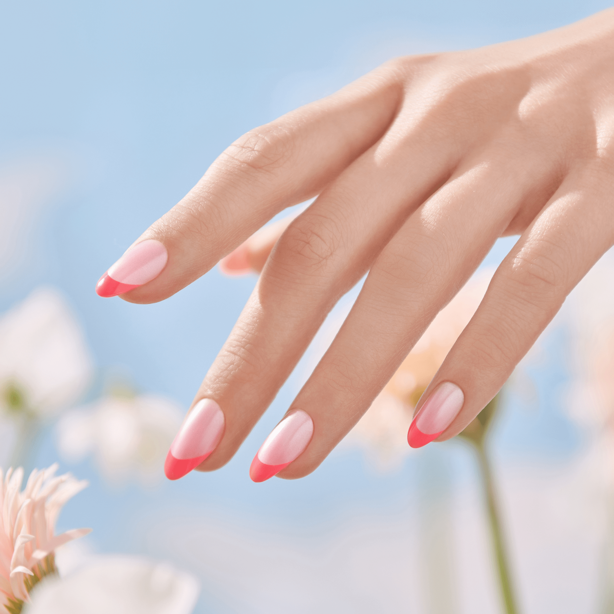 impress-design-my-daydreams-no-glue-press-on-nails-french-tips-pink-medium-almon image 2