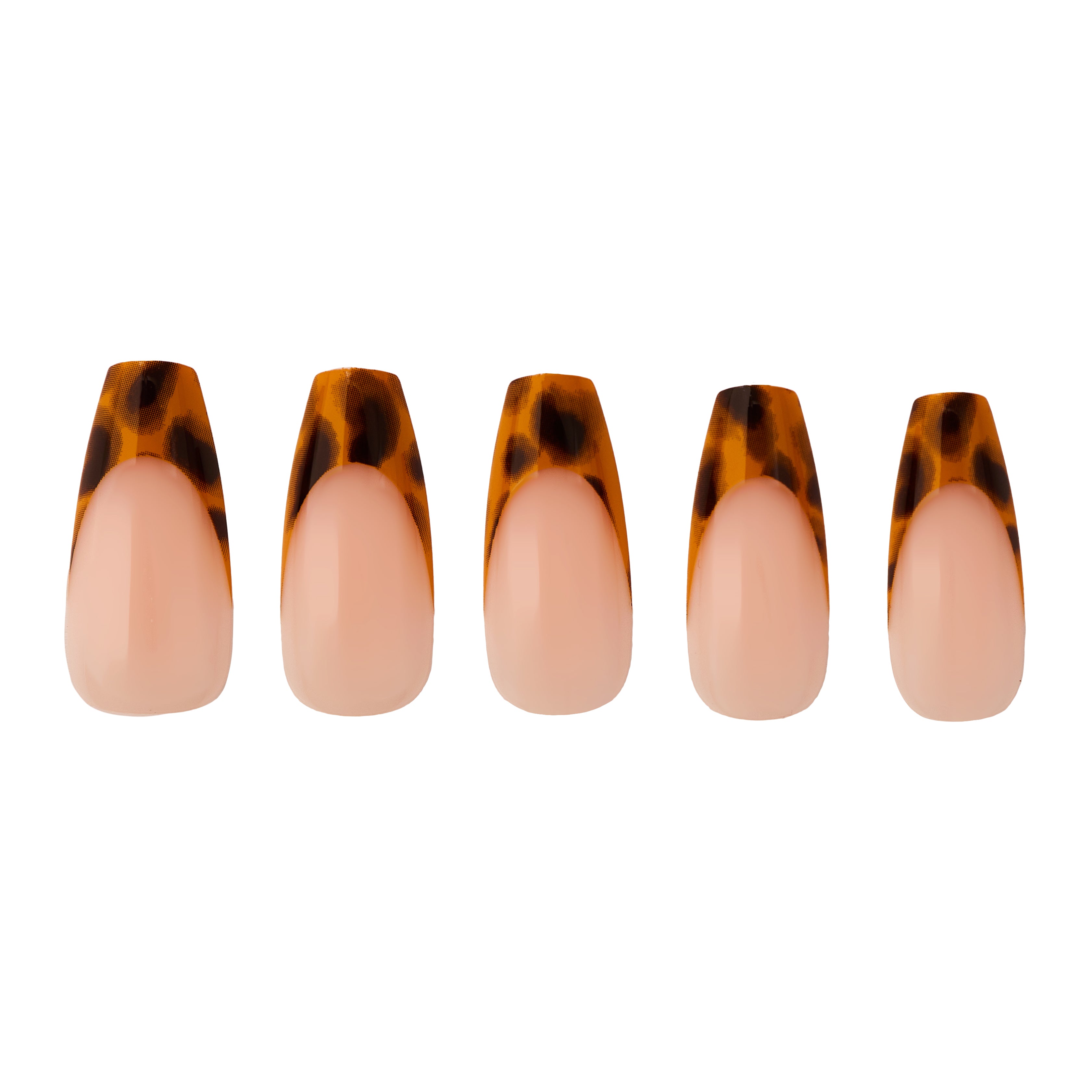paintlab-tortoise-chic-coffin-press-on-nails image 3
