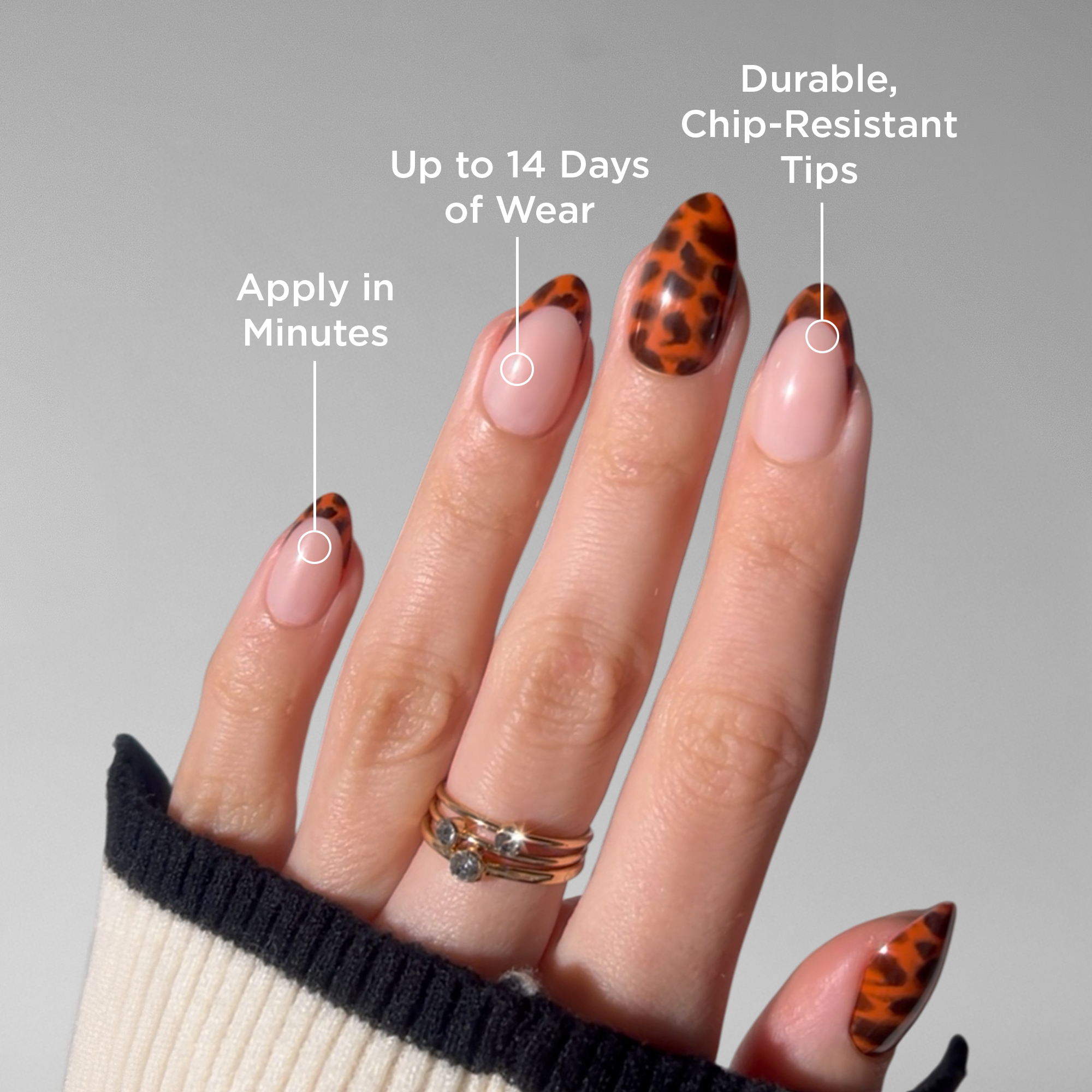 paintlab-tortie-tips-short-almond-press-on-nails image 2