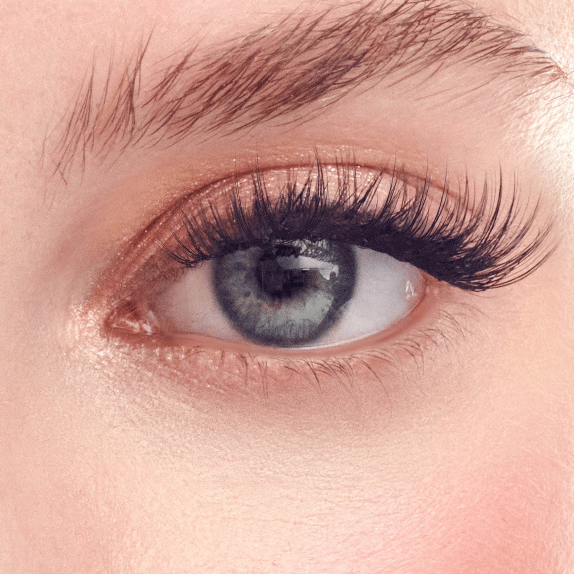impress-falsies-classic-volume-pre-glued-lash-clusters-multipack-60-lashes image 4