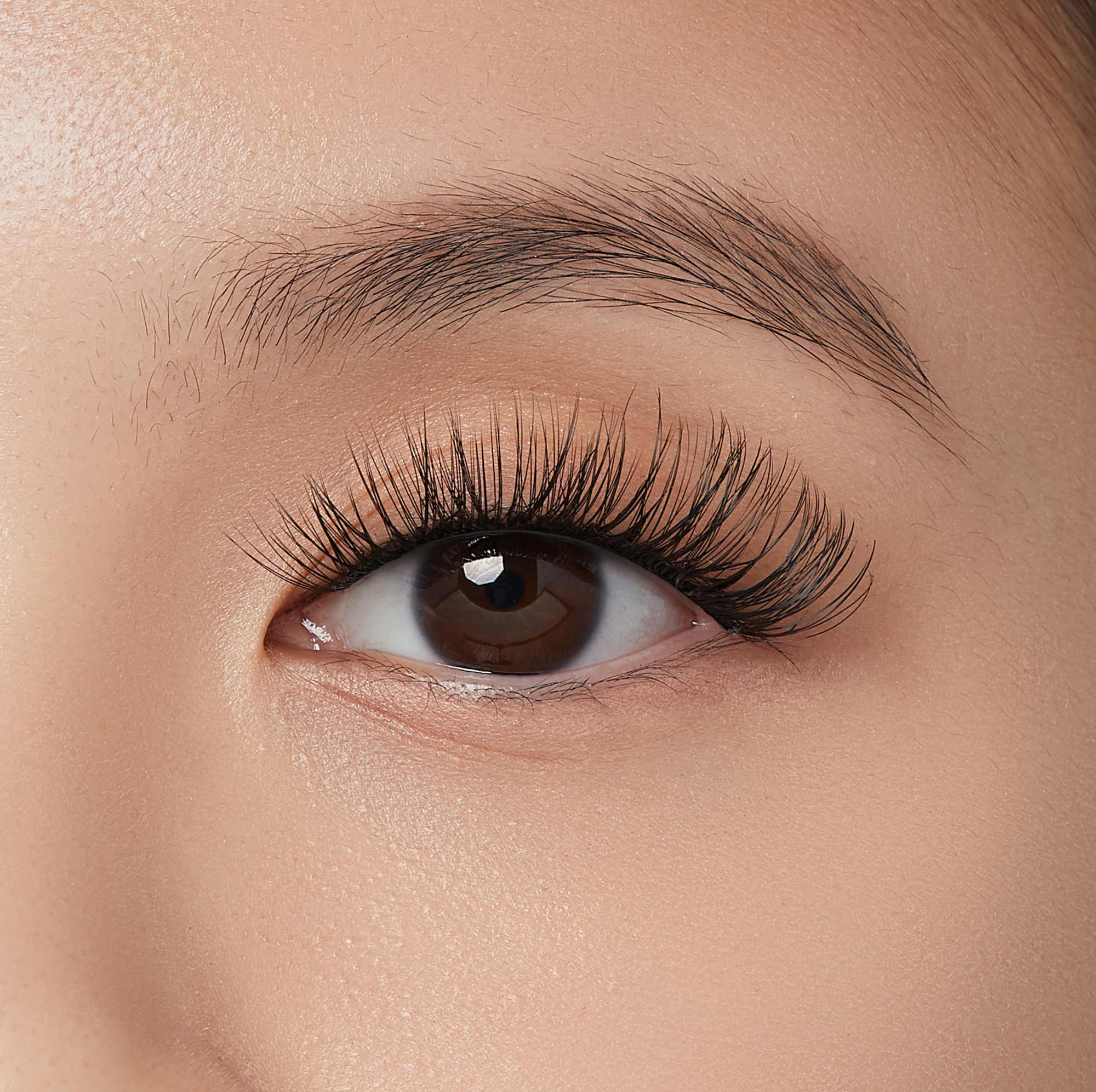 impress-falsies-pre-glued-false-eyelashes-minipack-sleek-natural-volume-clusters image 2