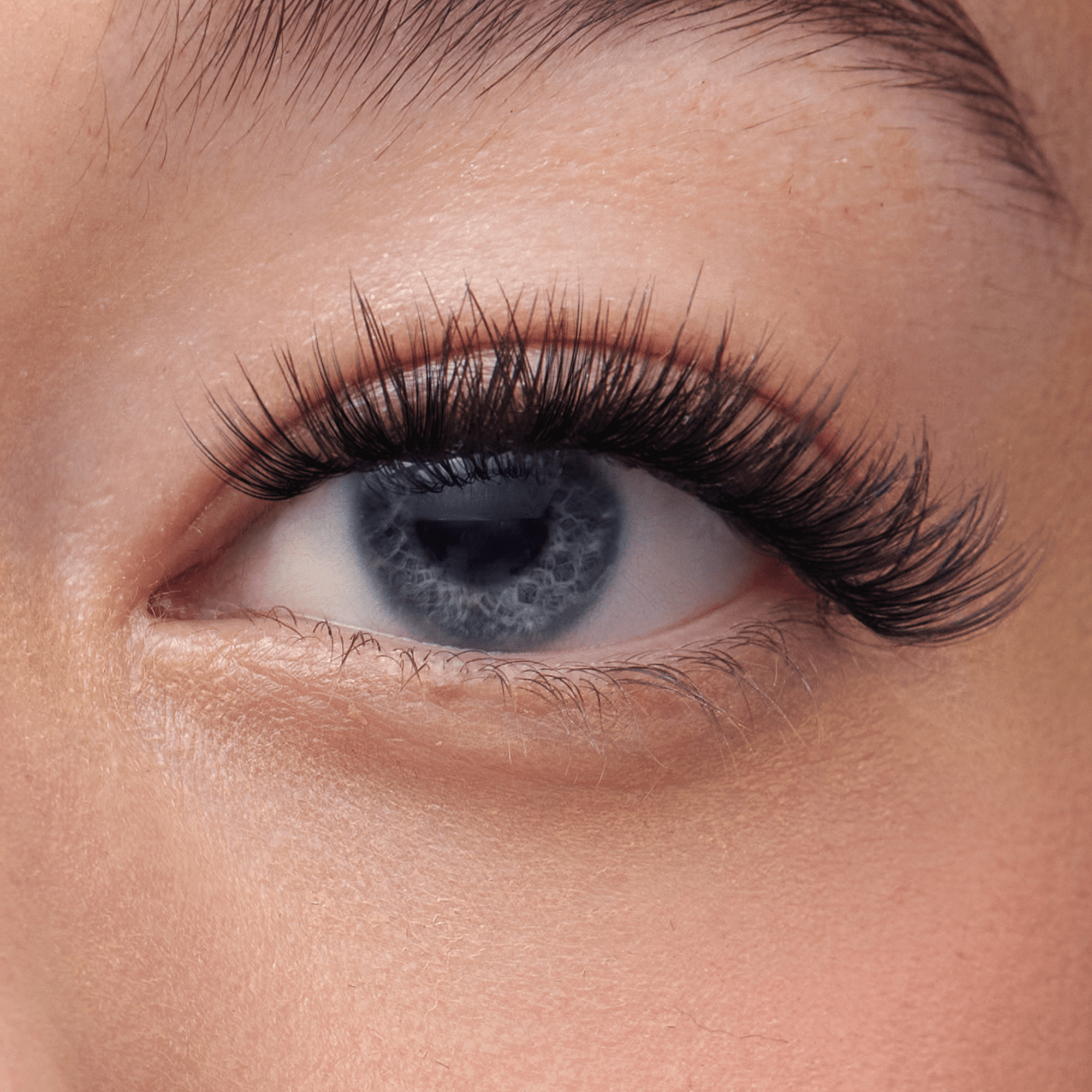 impress-classic-wispy-pre-glued-false-eyelashes-starter-kit-36-lash-clusters-wit image 3