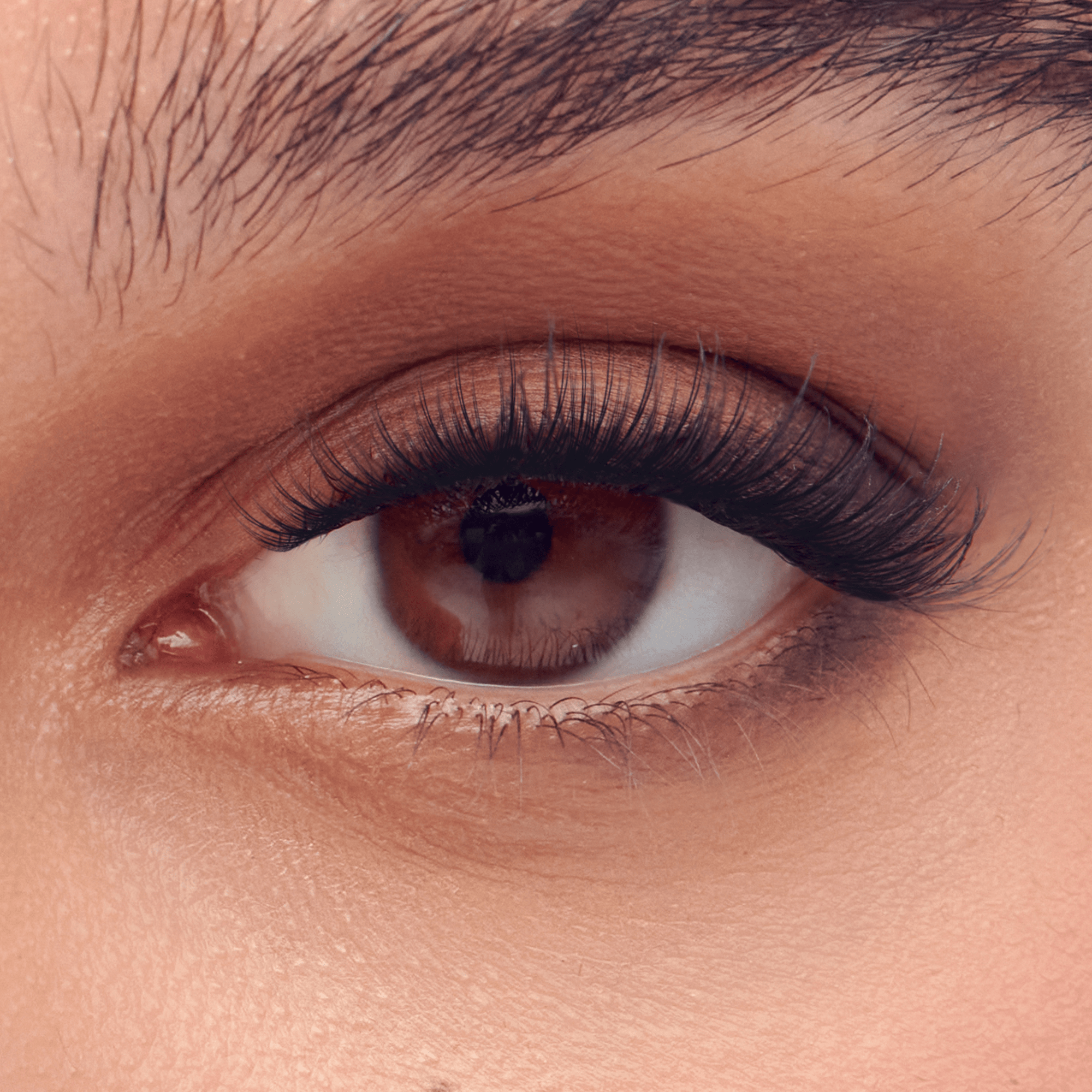 impress-falsies-long-lasting-pre-glued-false-eyelashes-starter-kit-demi-bold-24- image 4